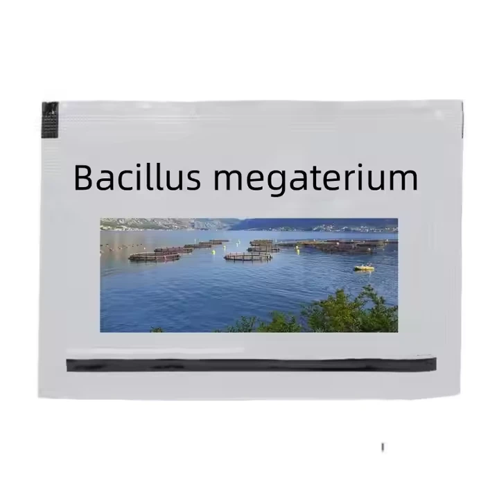 68038-67-5 Bacillus Megigantos