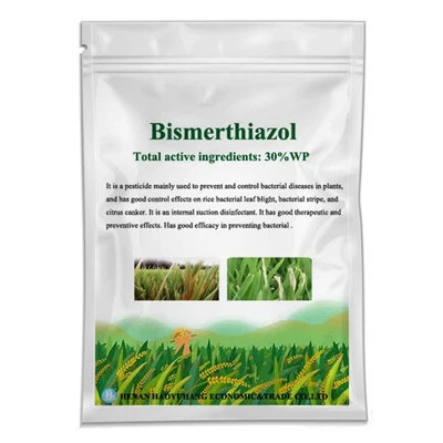 Bismertiasooli käsiraamat