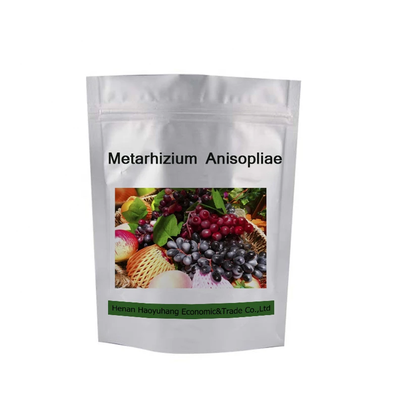 Metarhizium Anisopliae With Nice Quality